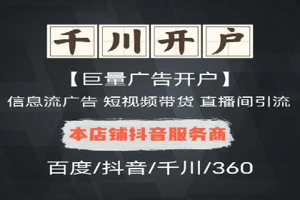 搜索引擎营销（SEM）的投放策略与效果评估——以某行业领先企业的案例分析